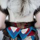Illustration for article titled Cosplaying As A Character From A Game Thats Not Even Out Yet